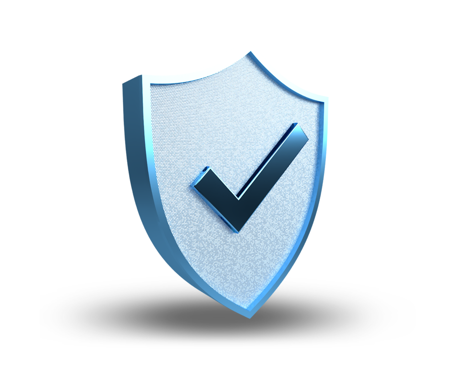 Security and Disaster