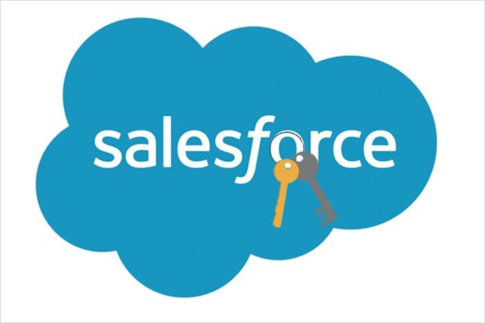 Salesforce Licesnce