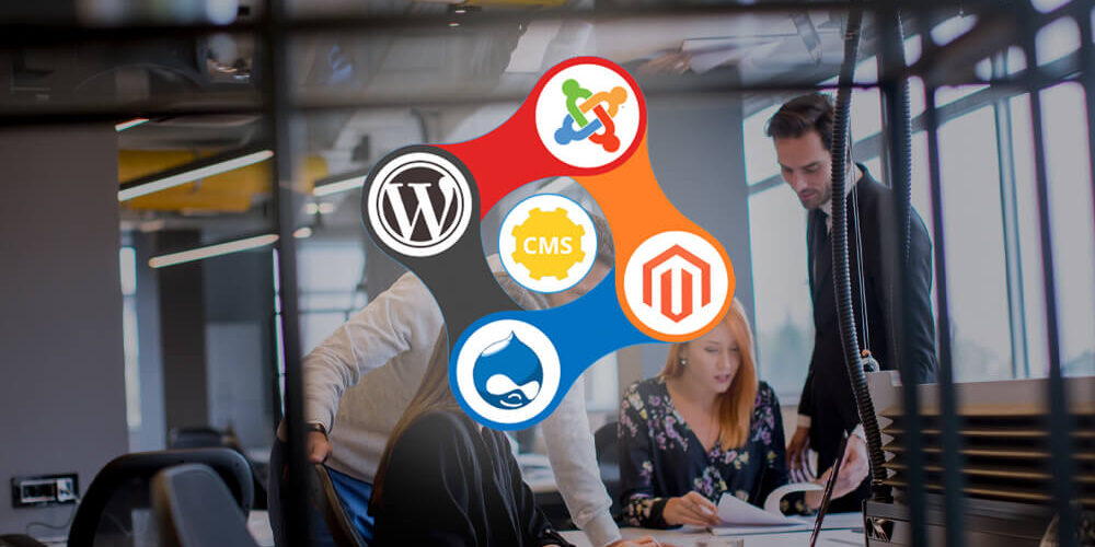 Choosing the Ideal CMS Thumbnail Choosing the Ideal CMS Thumbnail