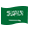 Saudi logo