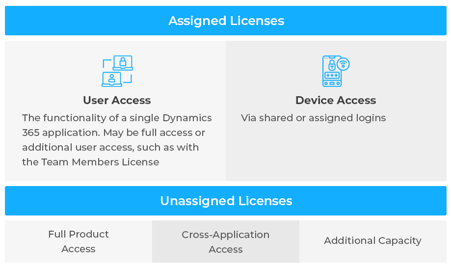 D365 License Type